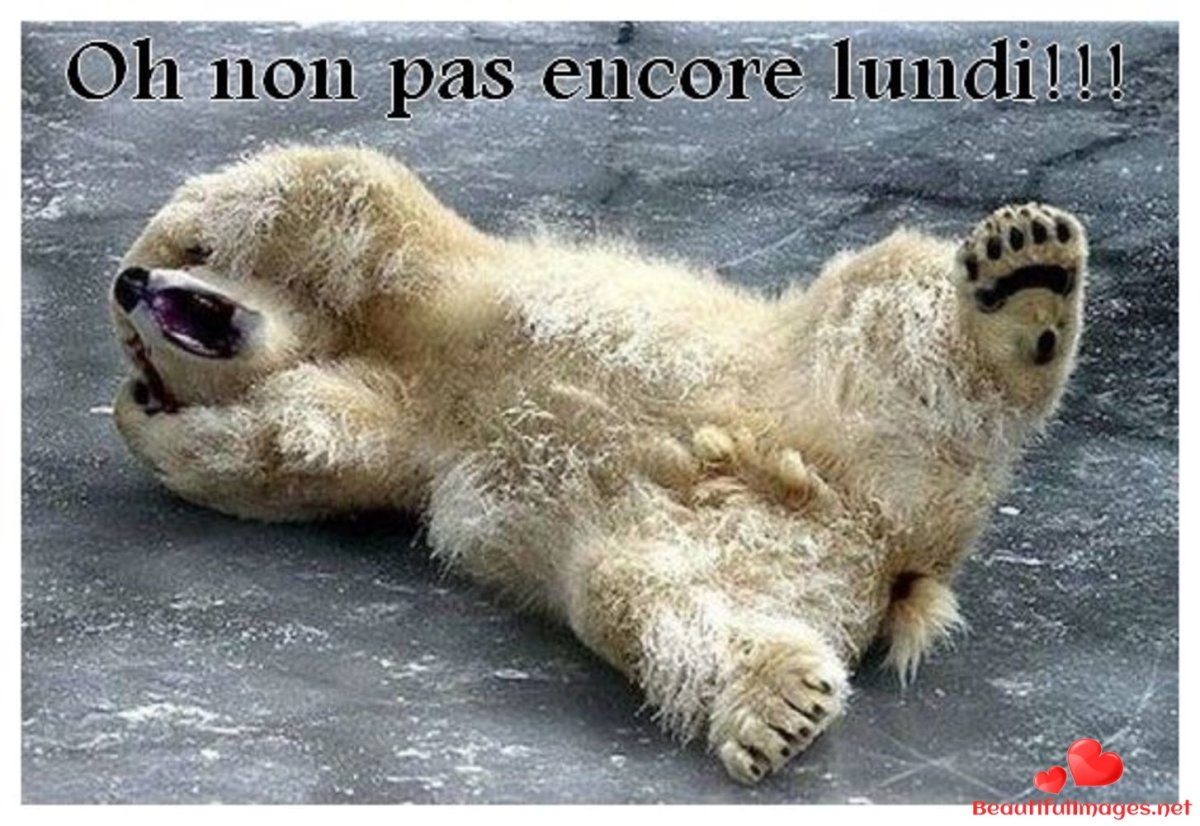 Фрай в панике