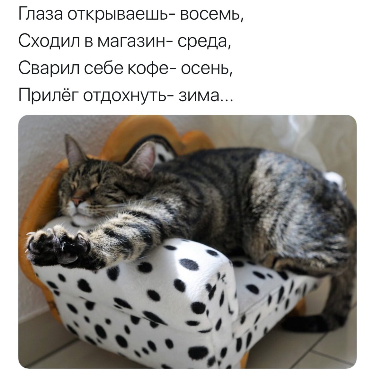 Понедельник открытки с юмором