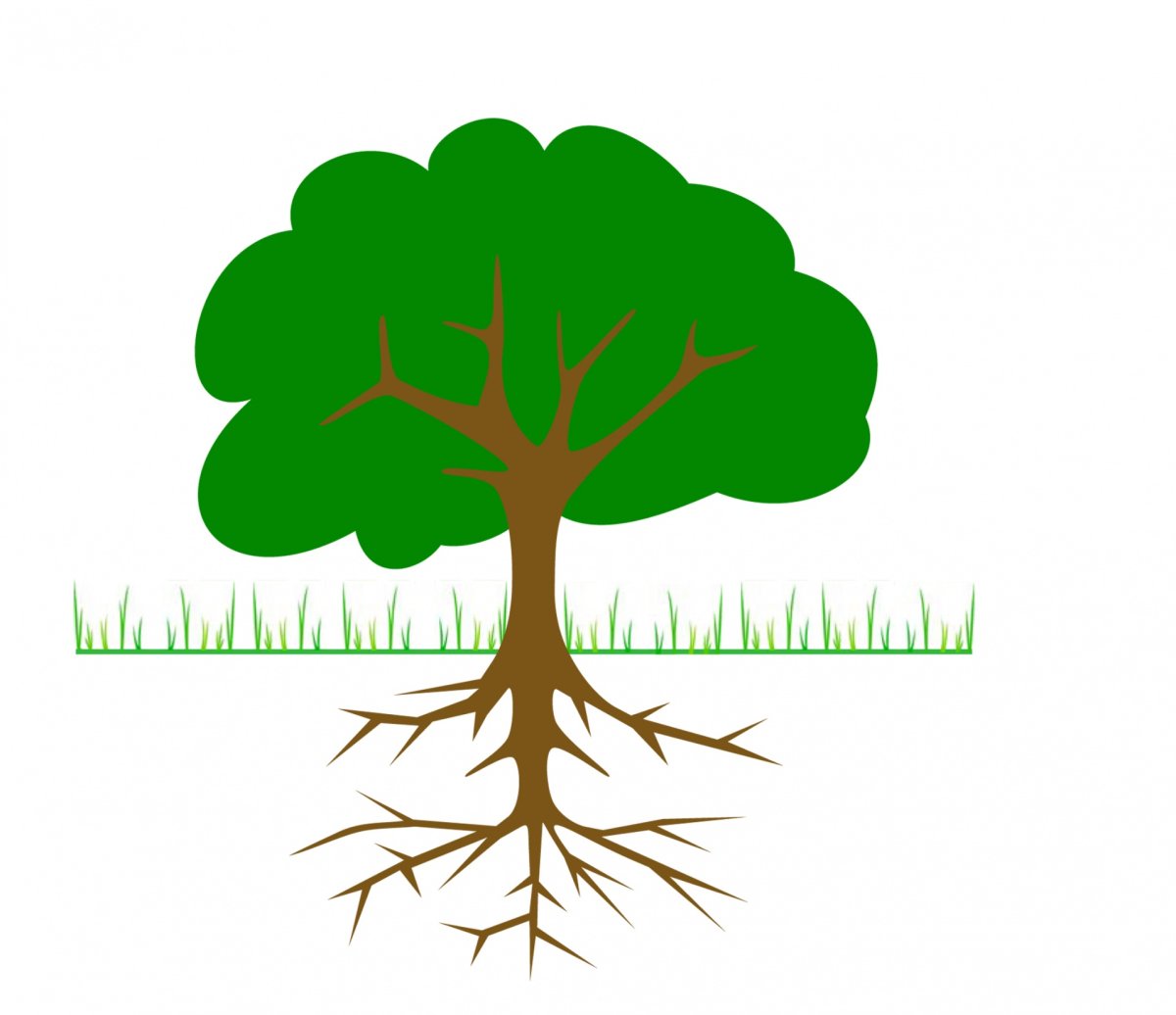 Дерево части дерева для детей