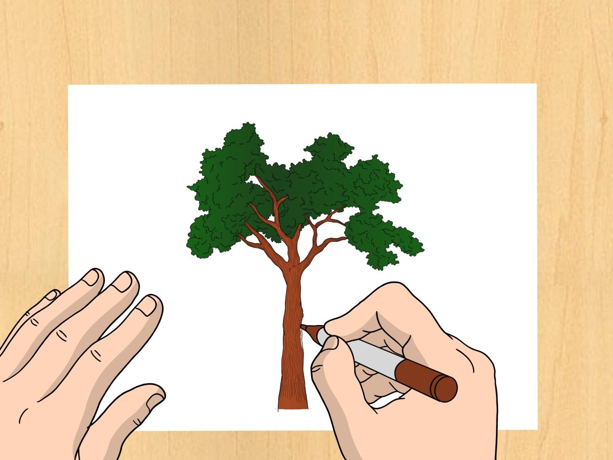 Дерево с корнями без фона