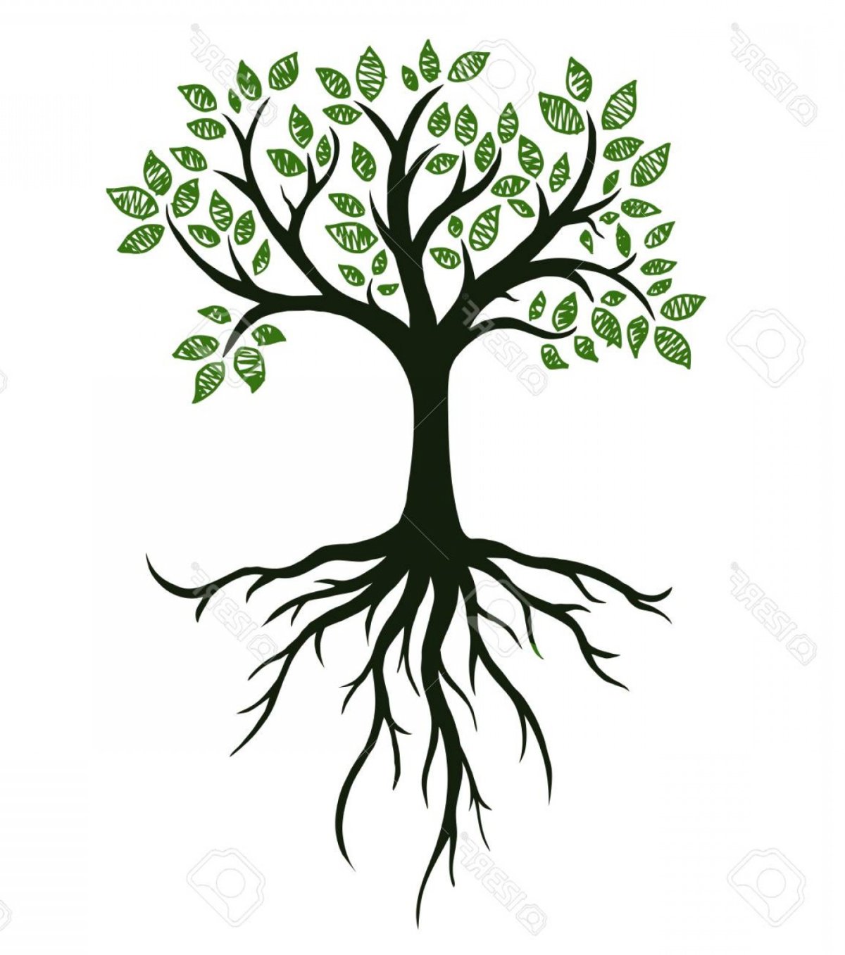 Карточки деревья для детей