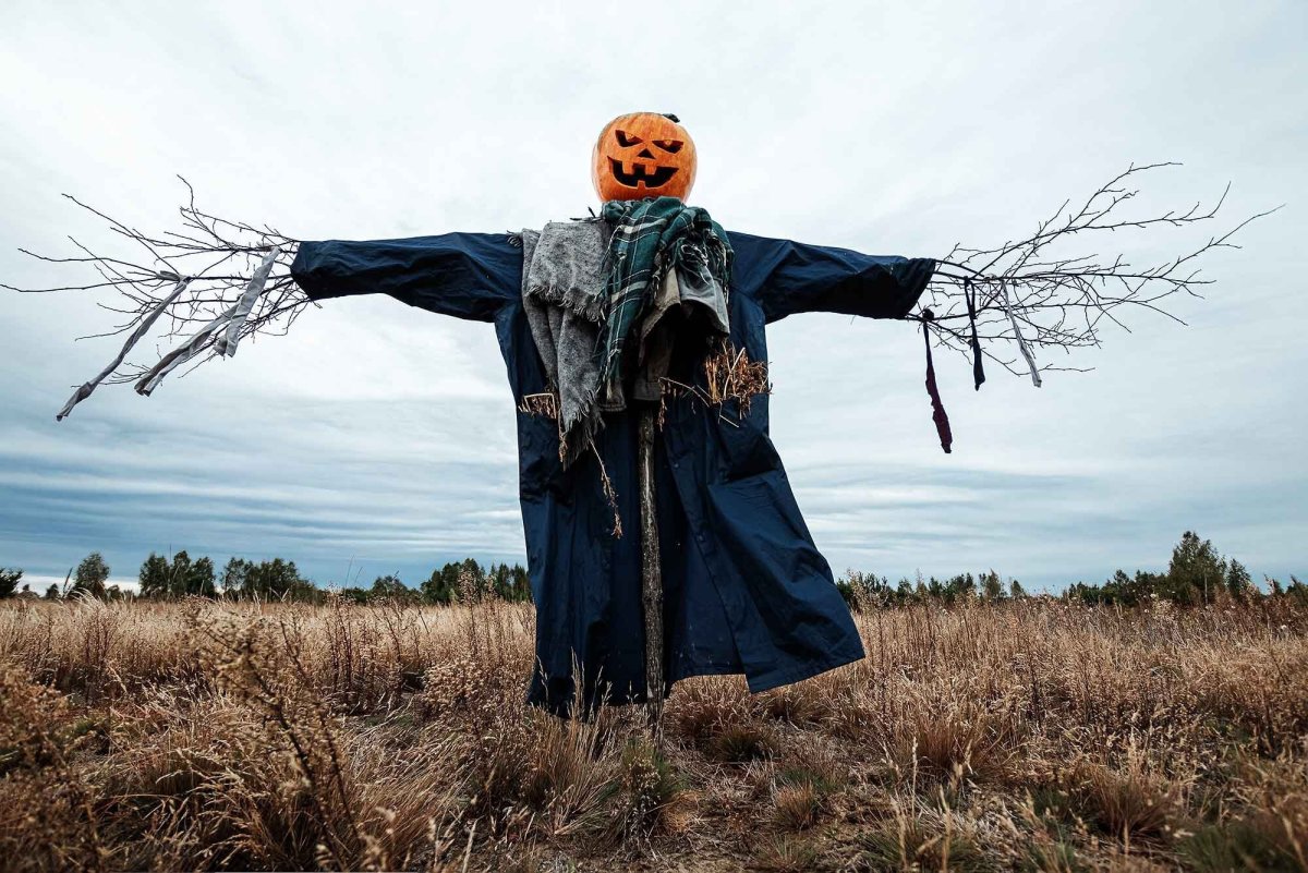 Пугало с тыквой