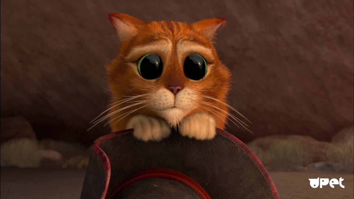 Кот из Шрека глаза