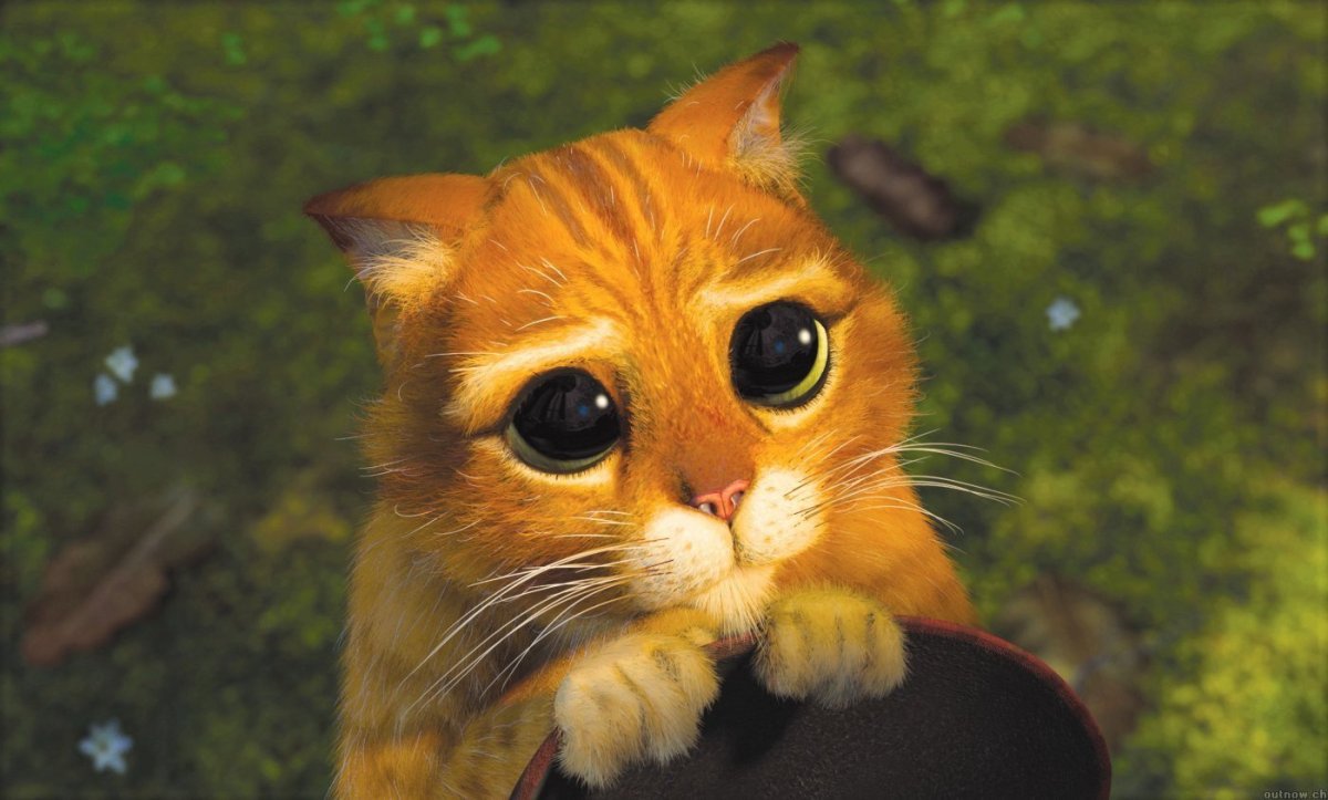 Кот в сапогах Шрек 4