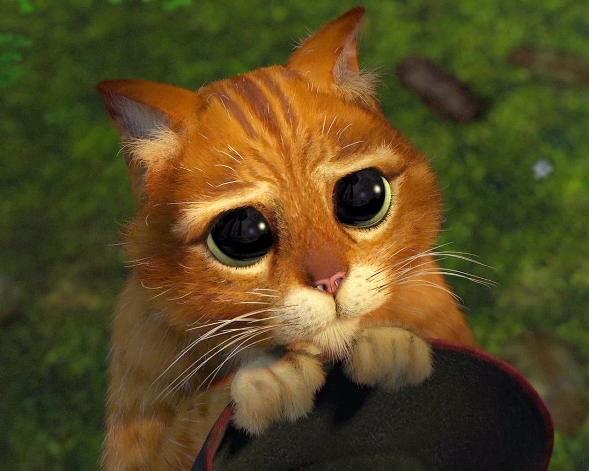 Кот в сапогах Шрек глаза