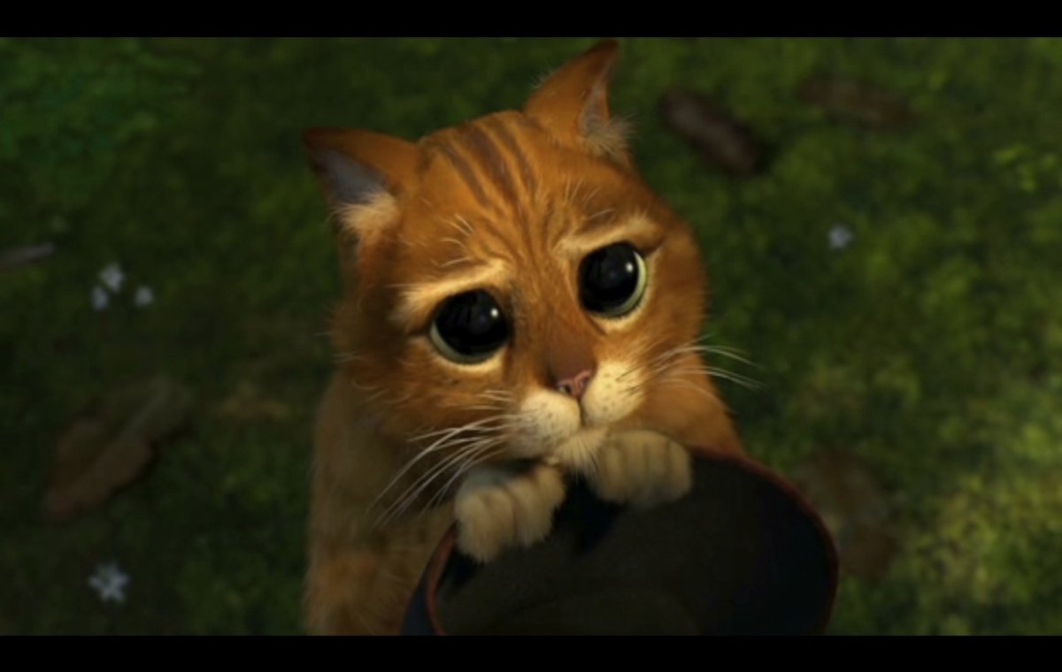 Шрек кот в сапогах милые глазки