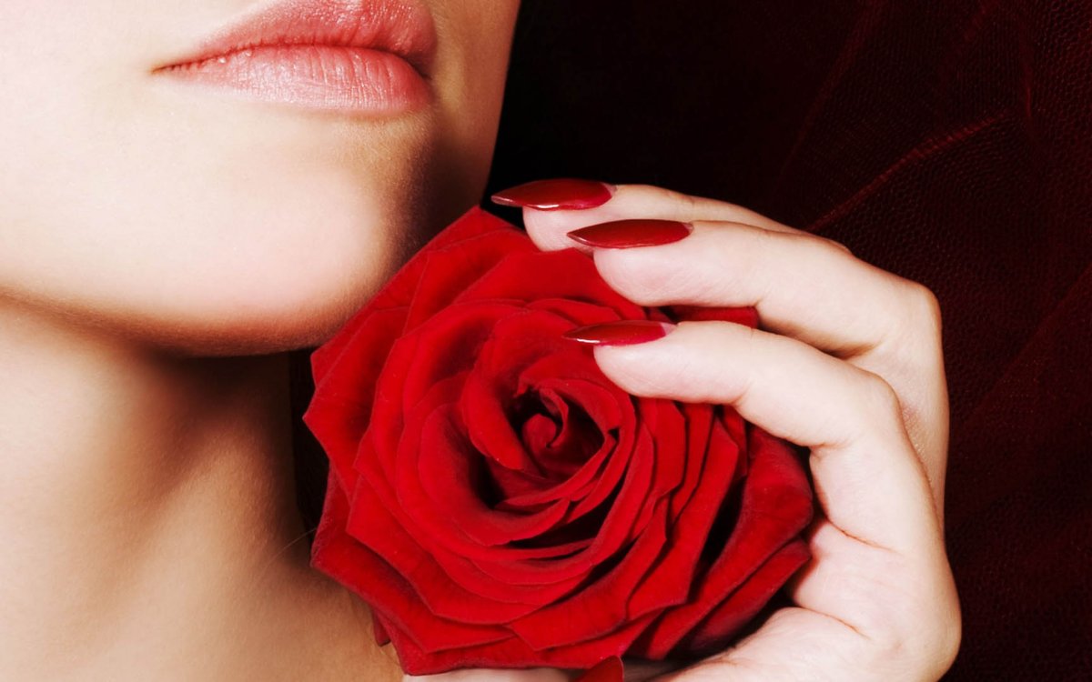 Девушка с розой