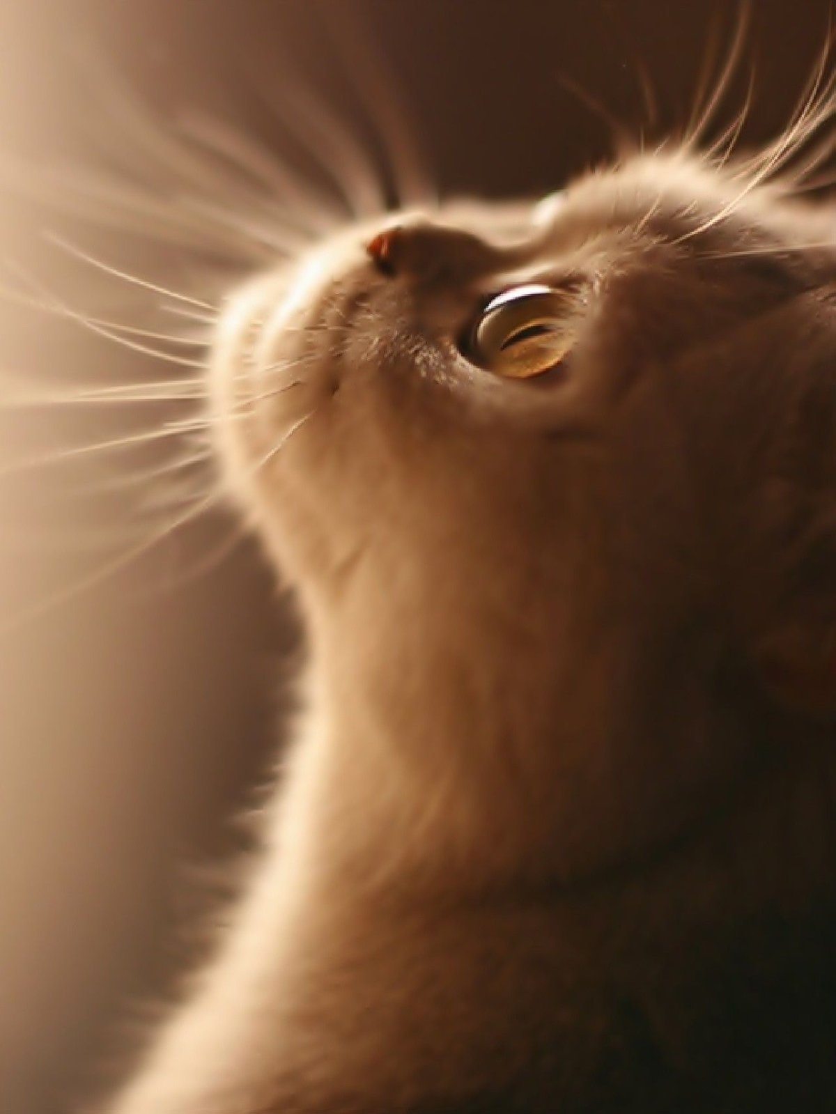 Приятная аватарка