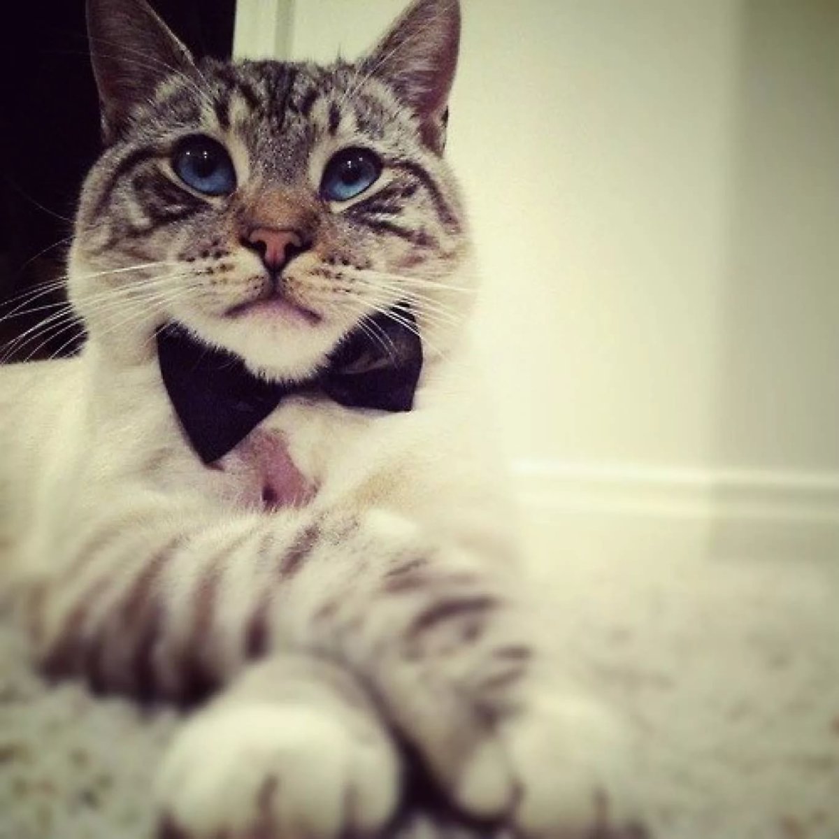 Аватар на вайбер для девочек