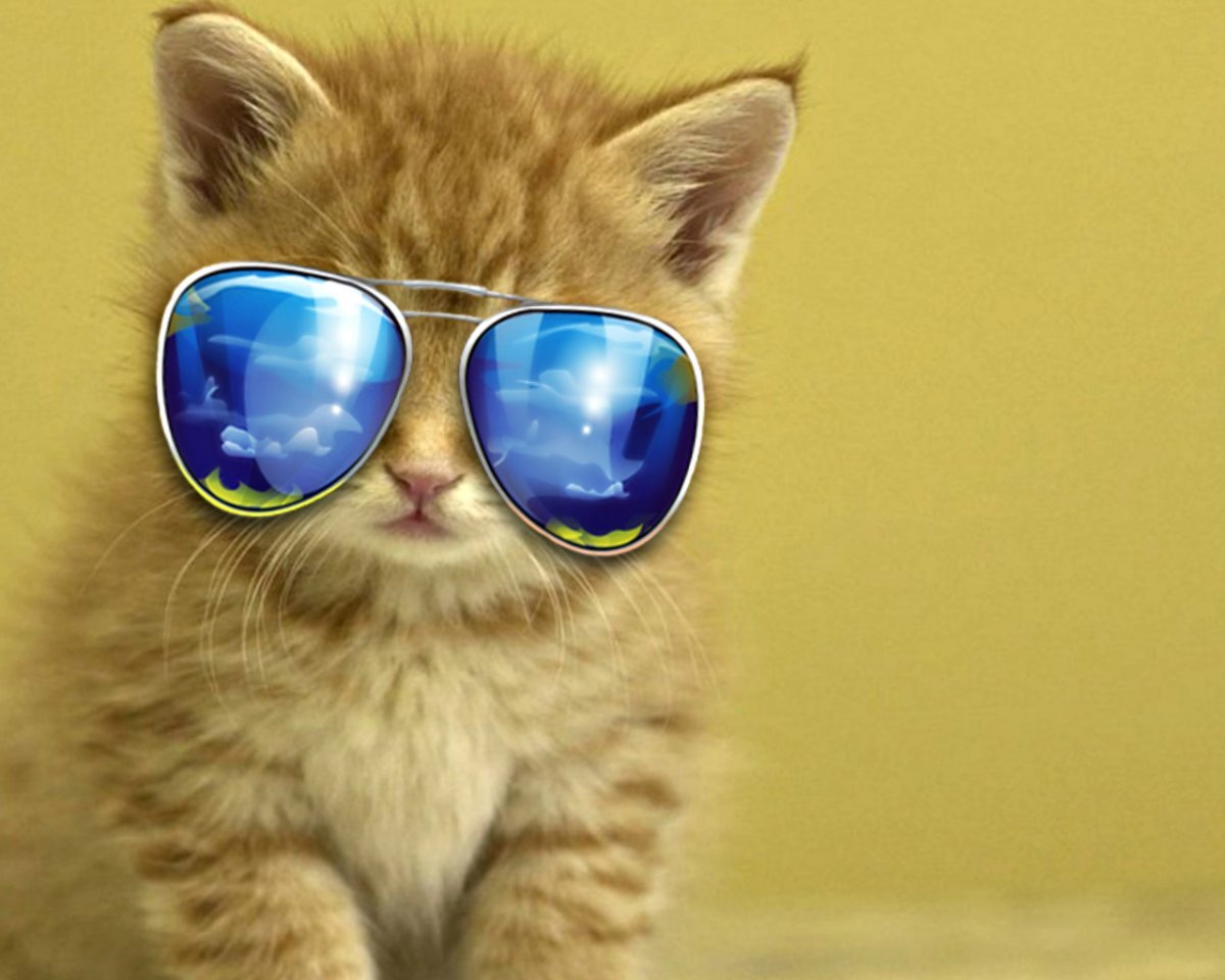 Цветы на лице