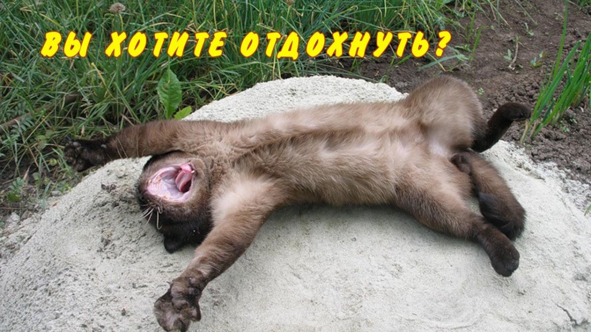 Я В отпуске