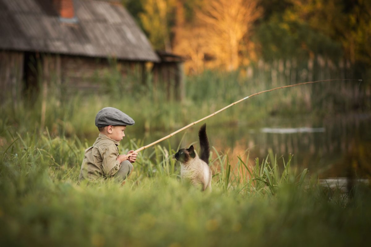 Кот на рыбалке