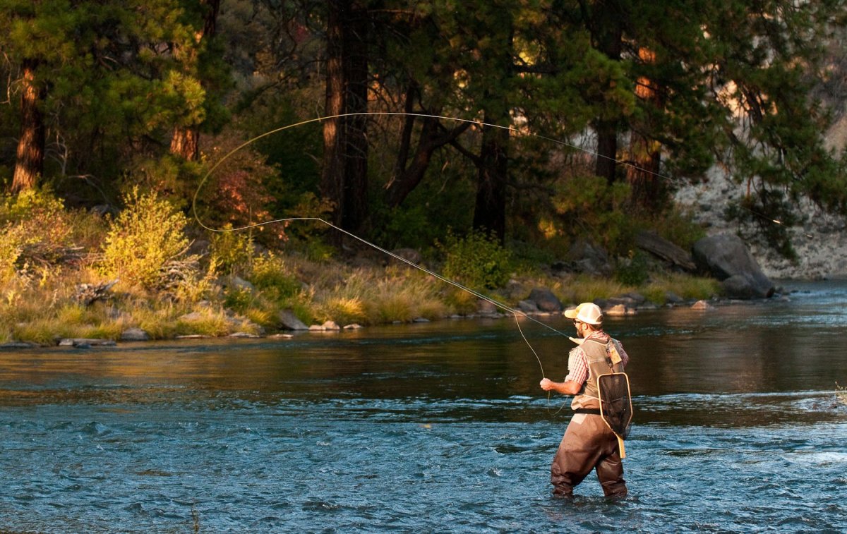 Рыбалка на реке