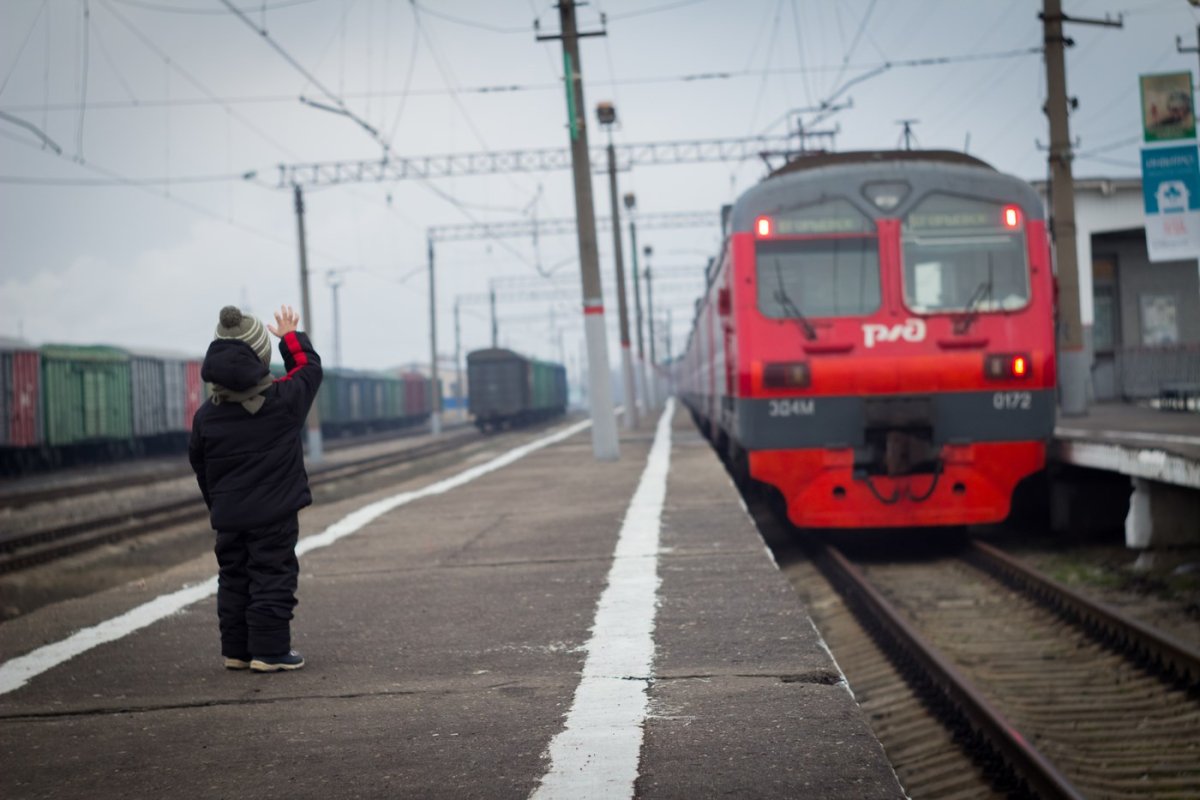 Поезд в тумане