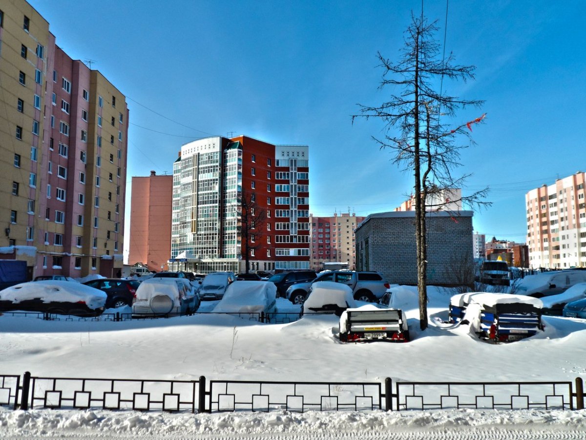 Новый Уренгой город Север