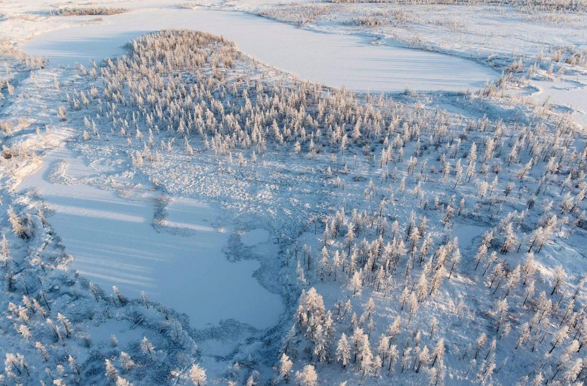 Природа тундра новый Уренгой