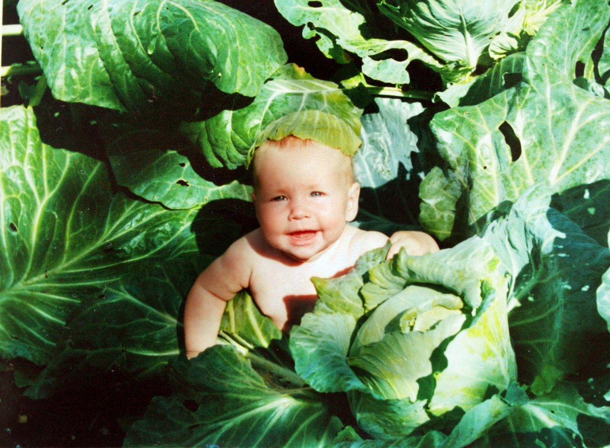 Ребенок в капусте