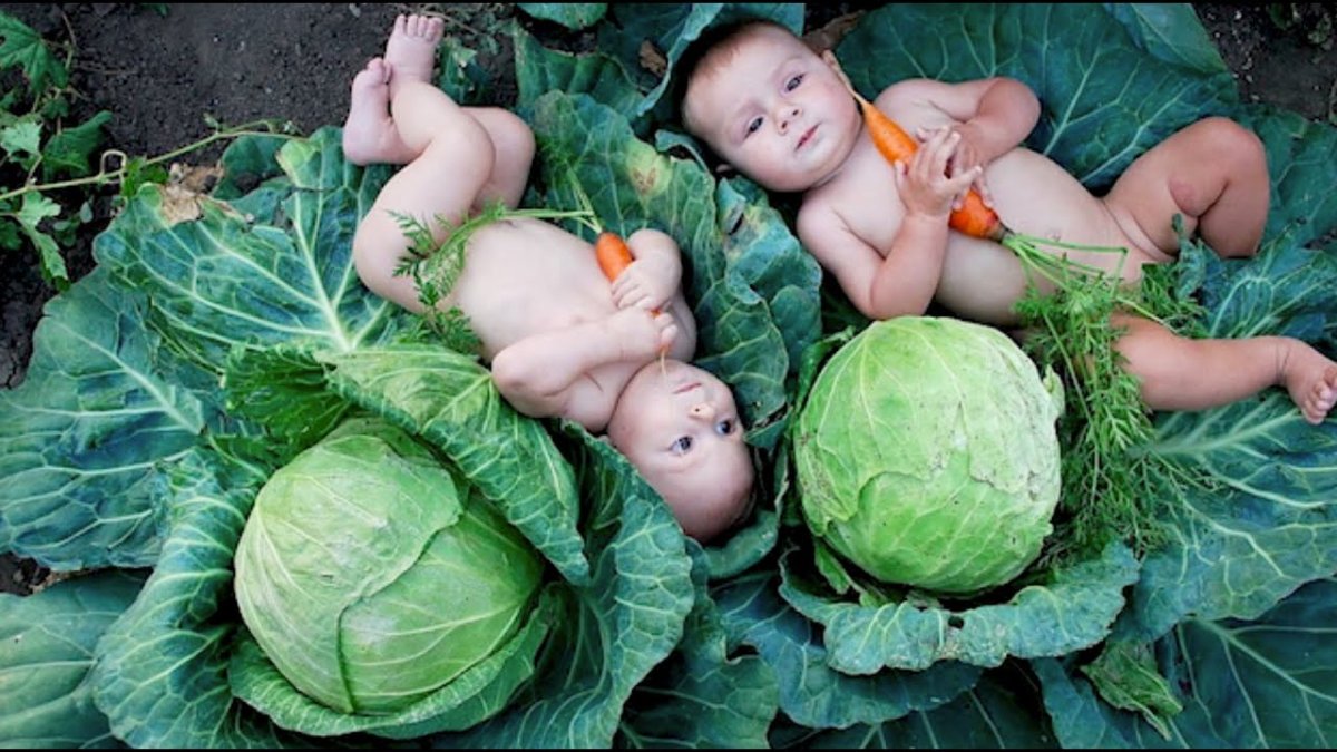 Ребенок в капусте