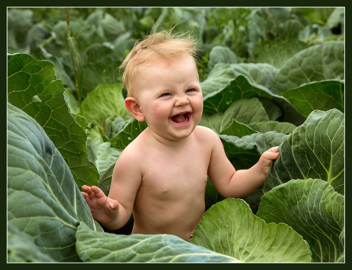 Ребенок в капусте