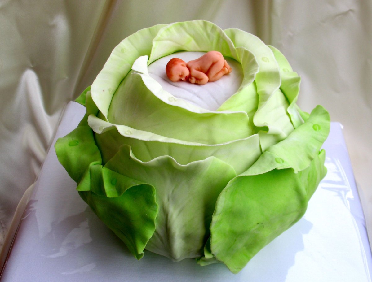 Торт капуста с младенцем