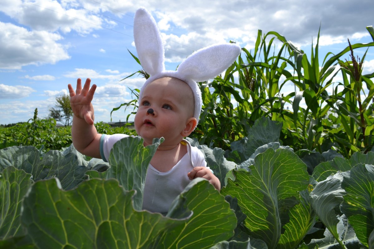 Ребенок в капусте