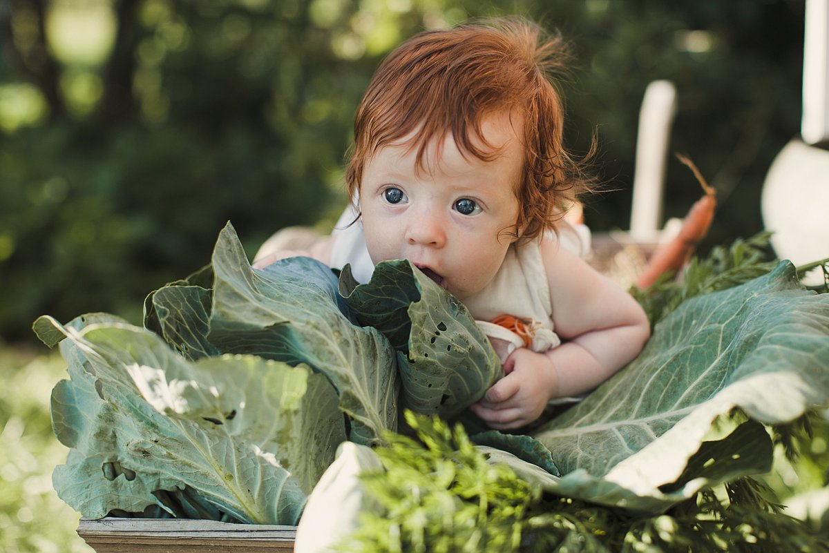 Ребенок в капусте