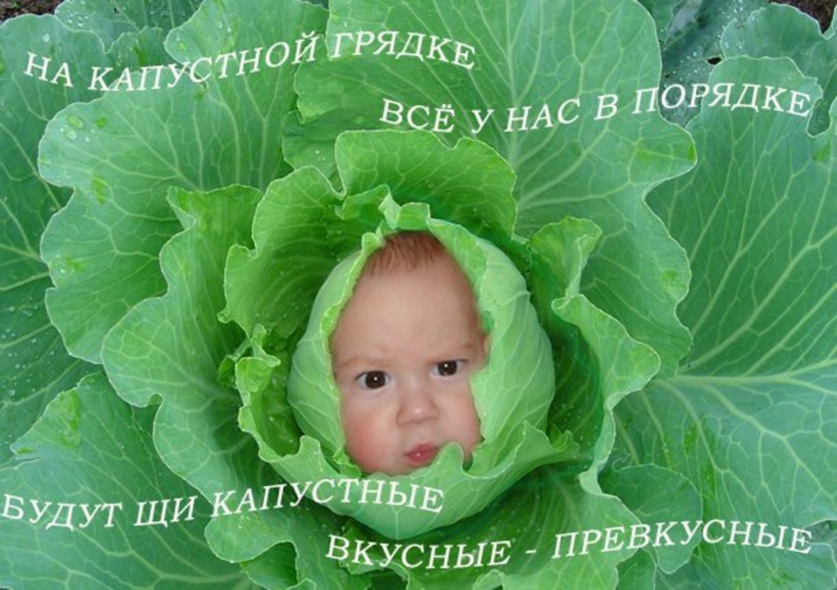С днем рождения малыш в капусте