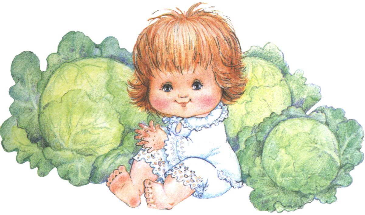 Открытка ребенок в капусте