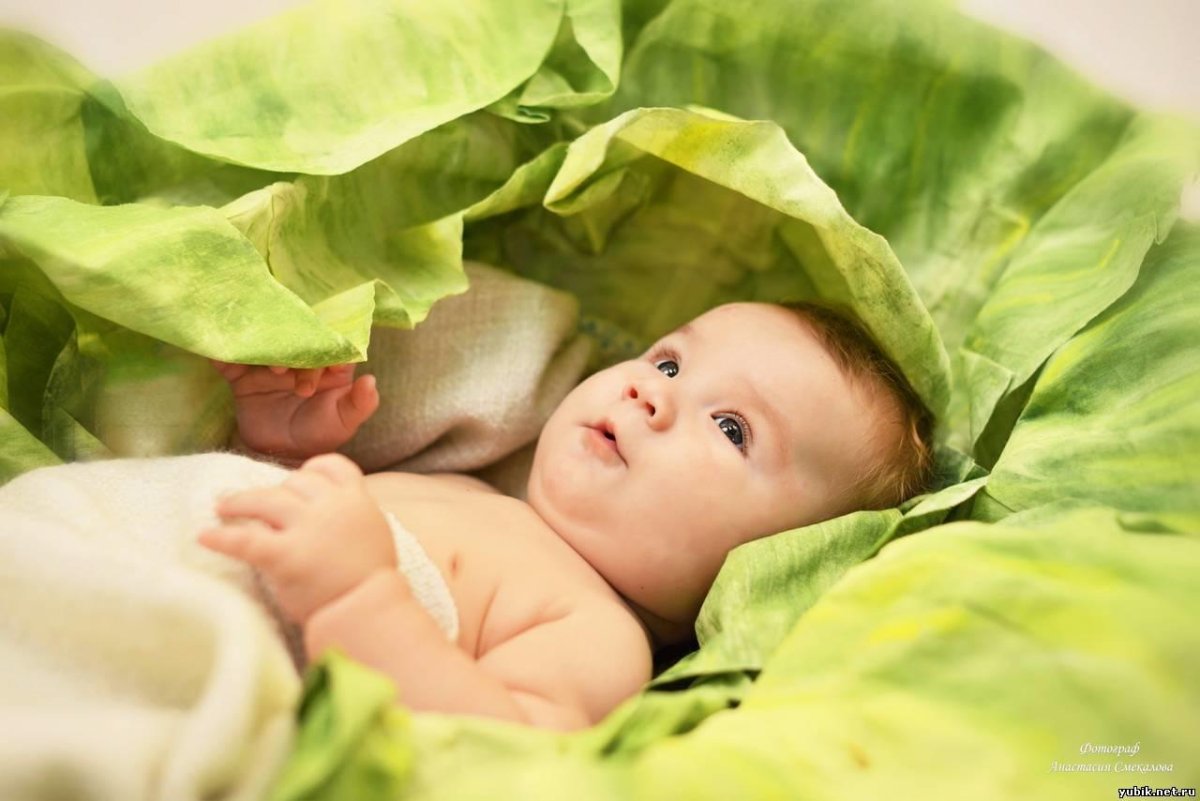 Ребенок в капусте