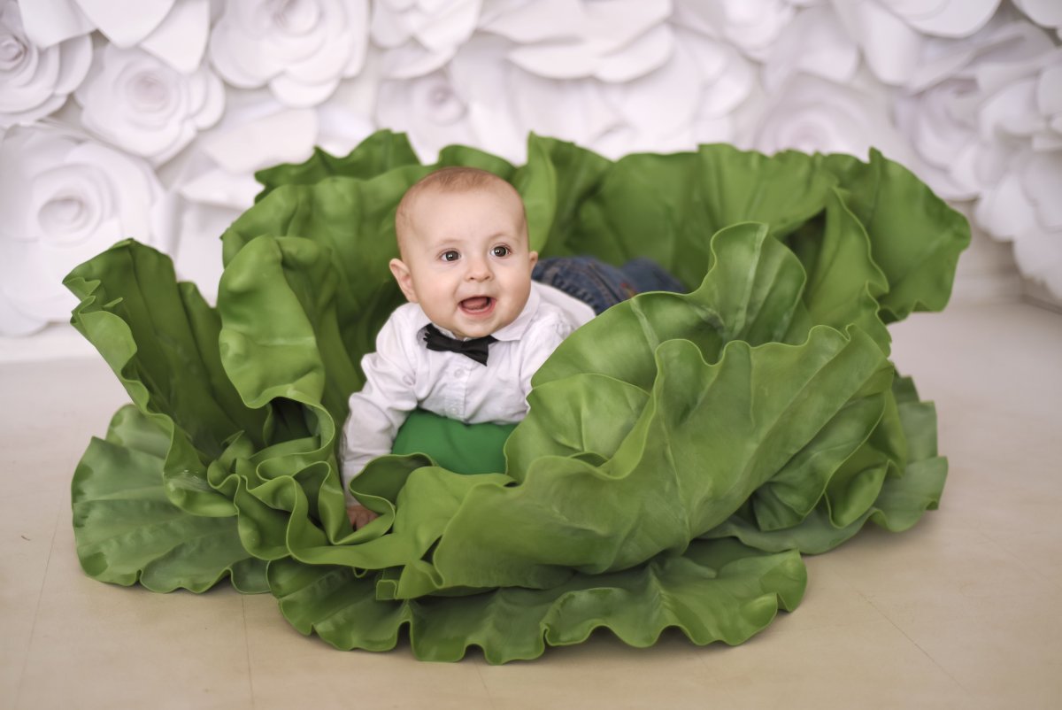 Ребенок в капусте