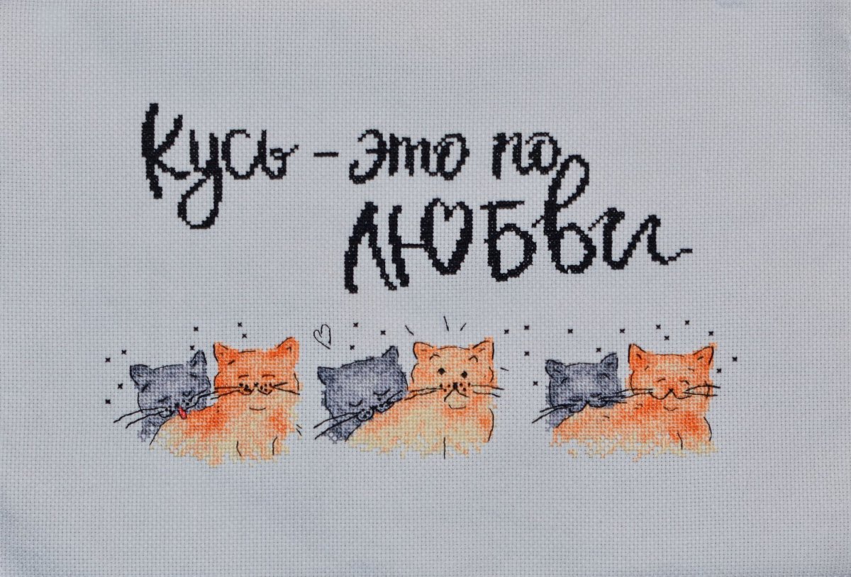 Кусь это по любви котики