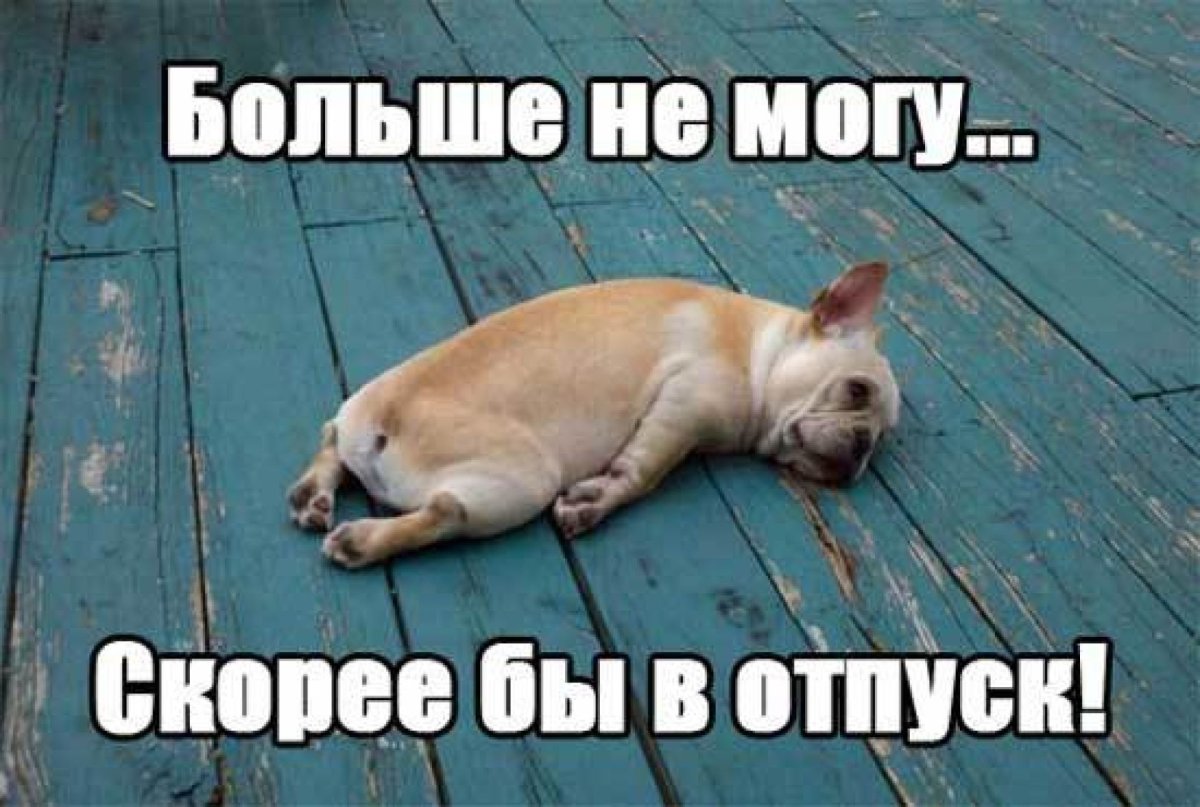 Скоро отпуск прикольные