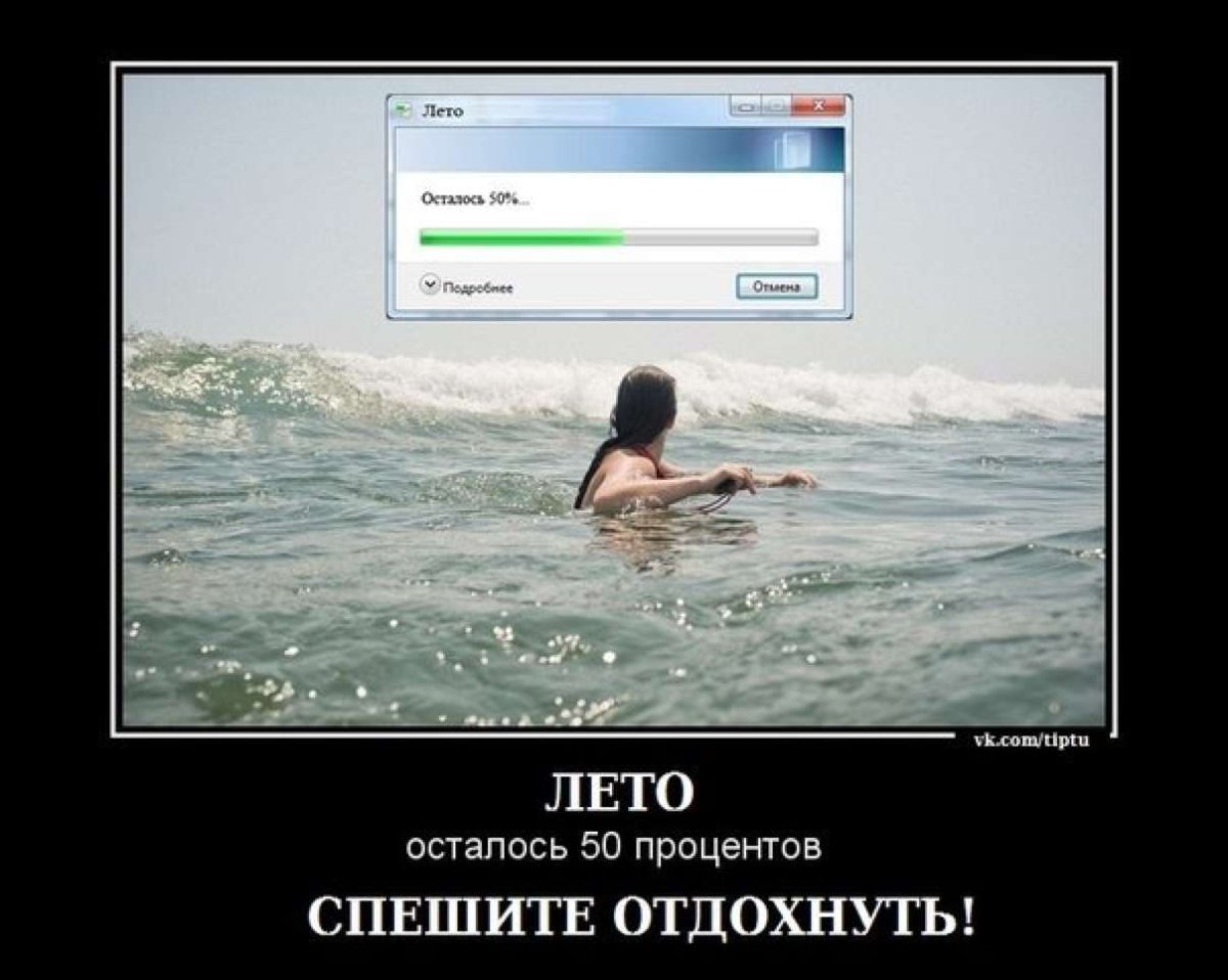 Лиса до психолога и после