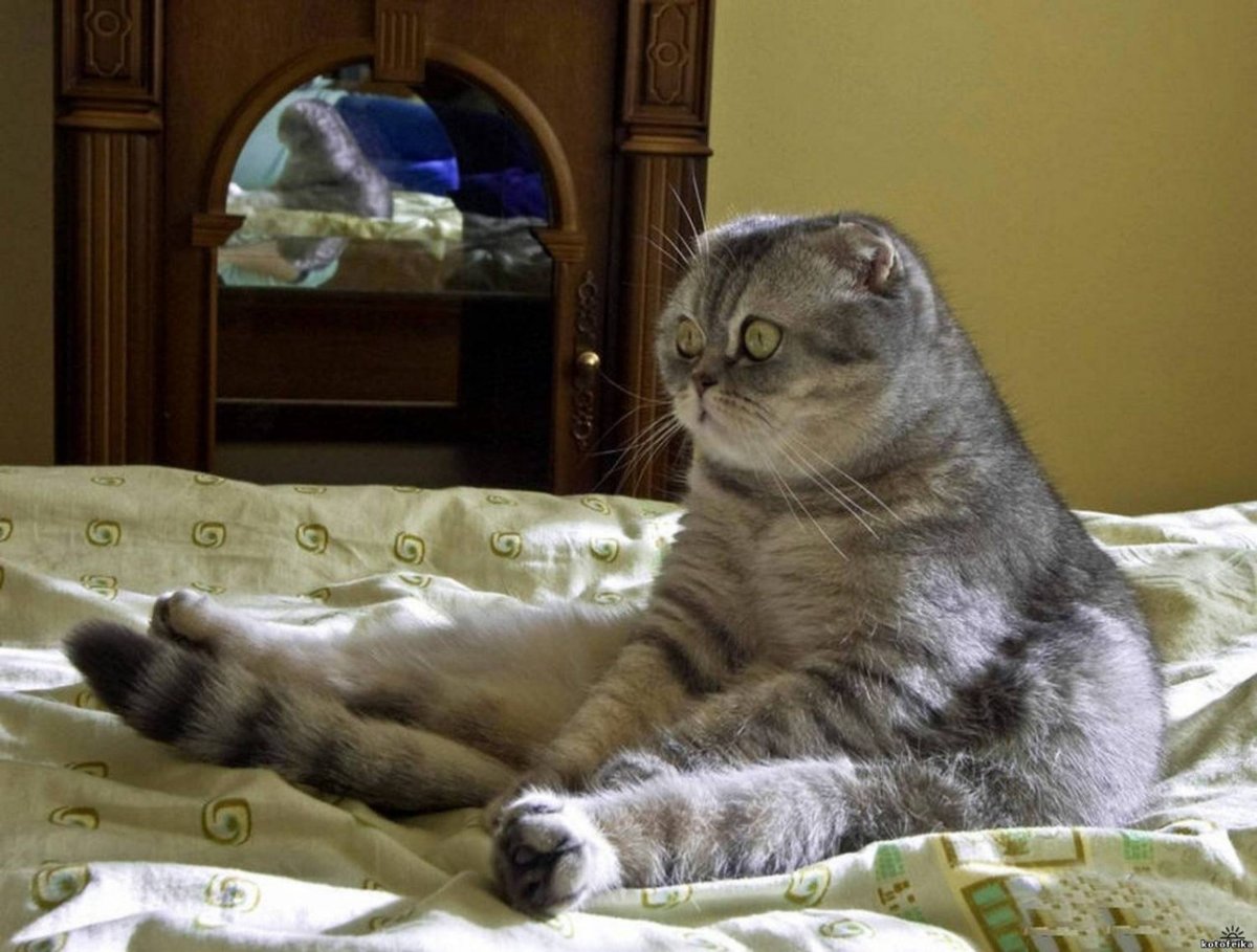 Вот я и проснулась