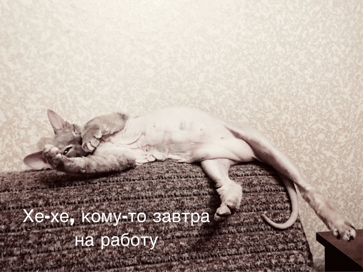 Завтра на работу прикольные