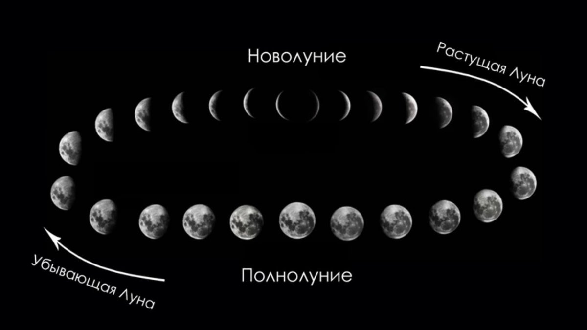 Ф̆̈ӑ̈з̆̈ы̆̈ Л̆̈ў̈н̆̈ы̆̈