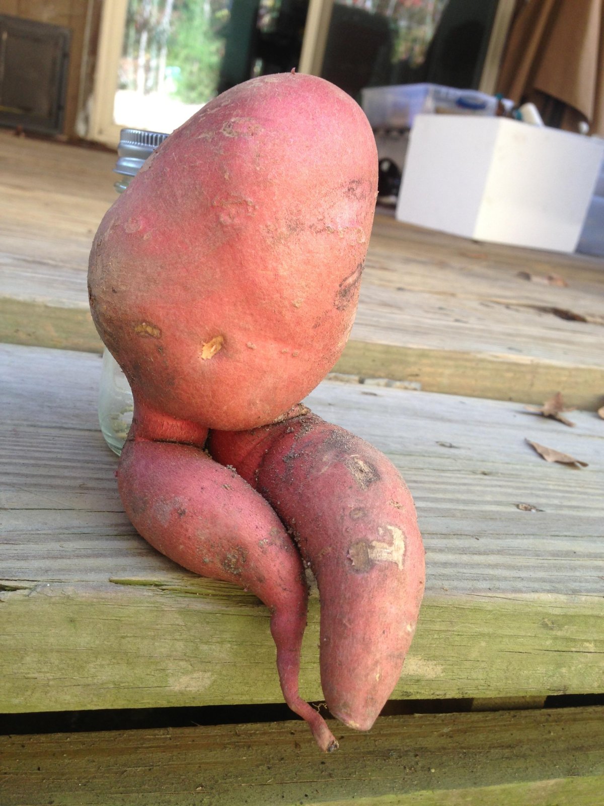 Смешная картошка