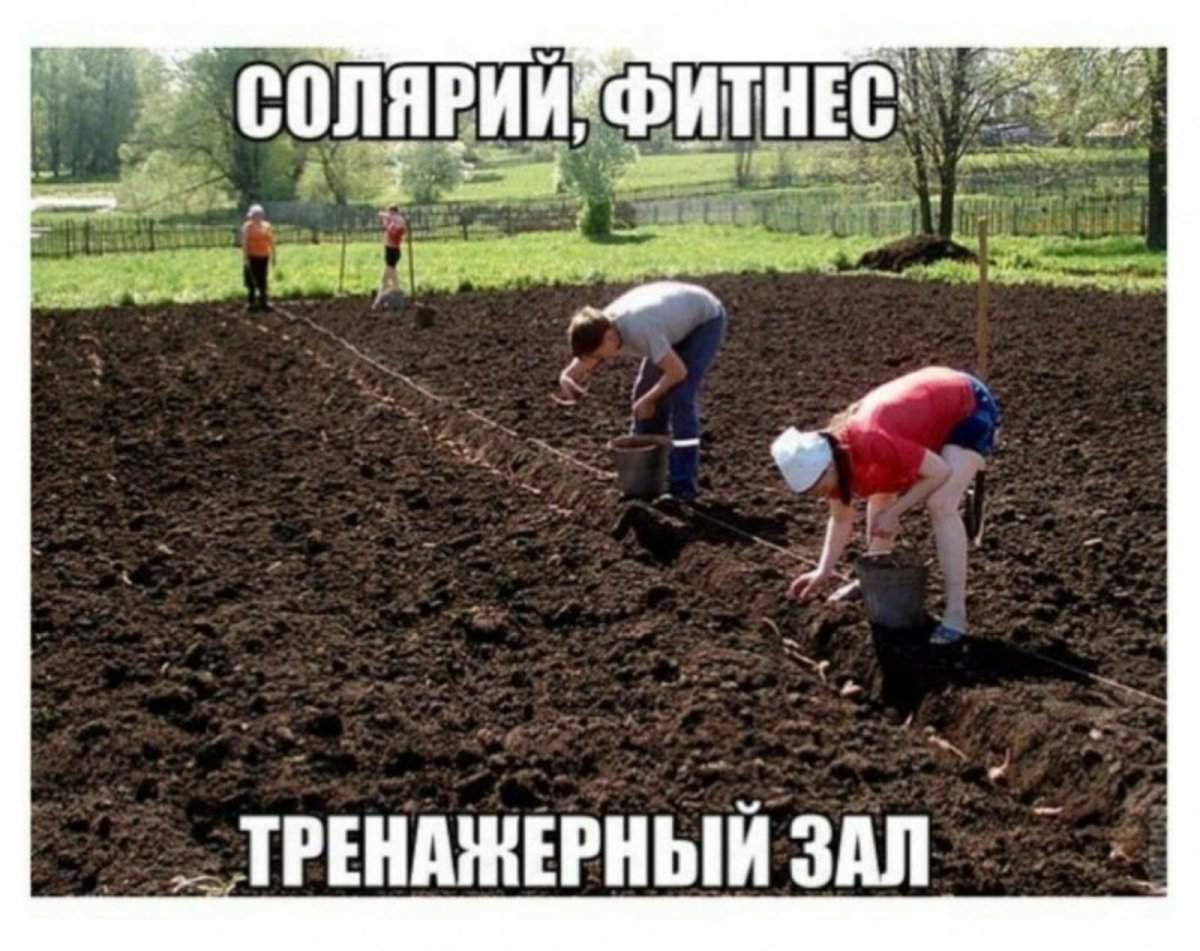 Демотиваторы про дачу