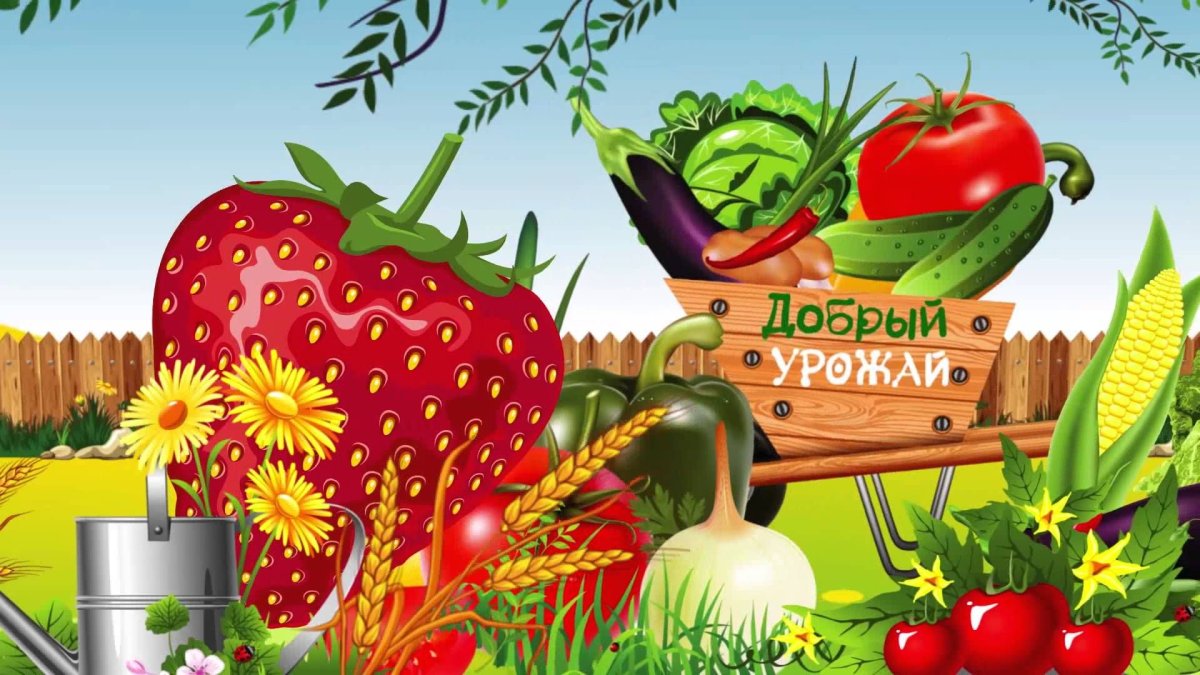 Осенняя фотосессия с тыквами