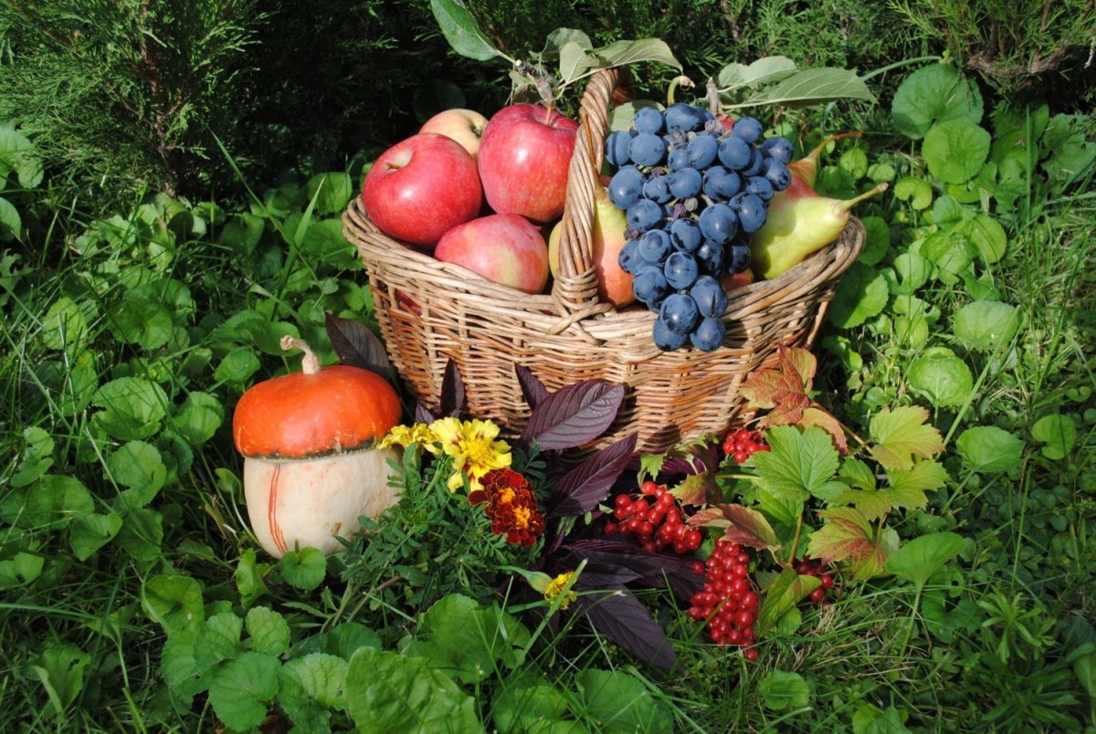 Осень для детей