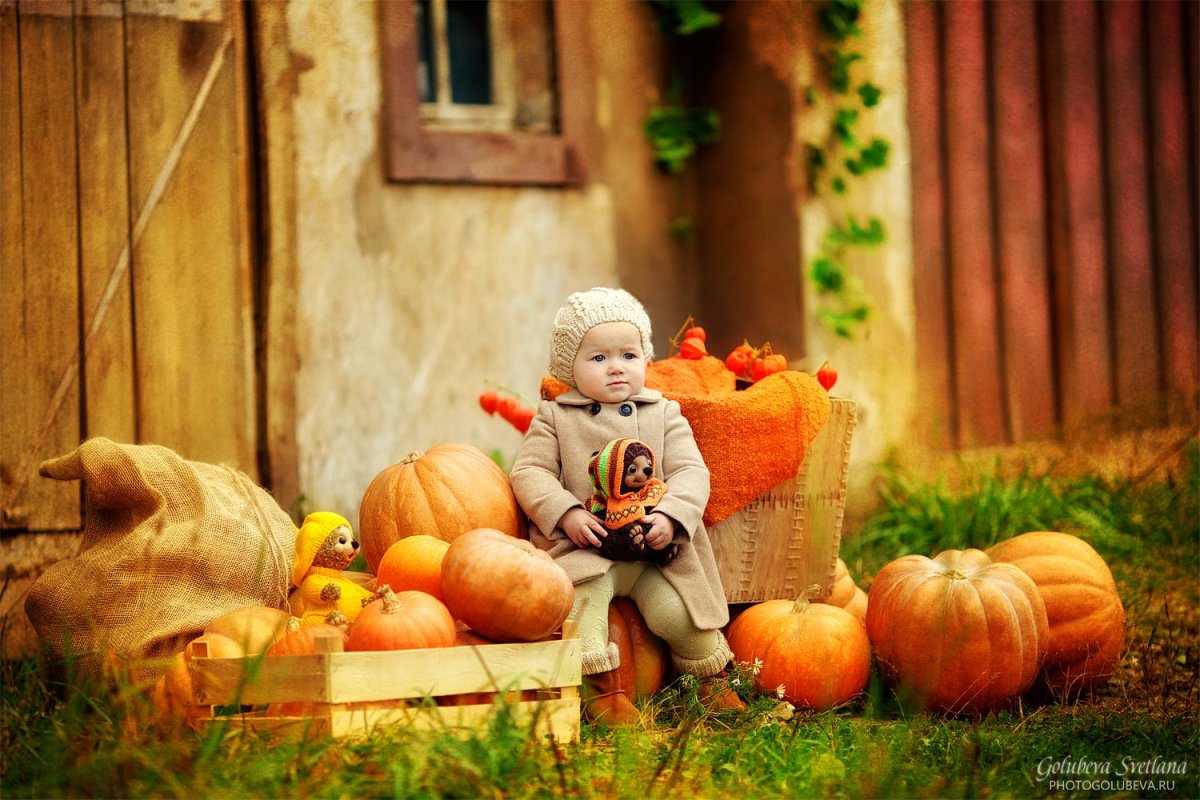 Уборка урожая осенью