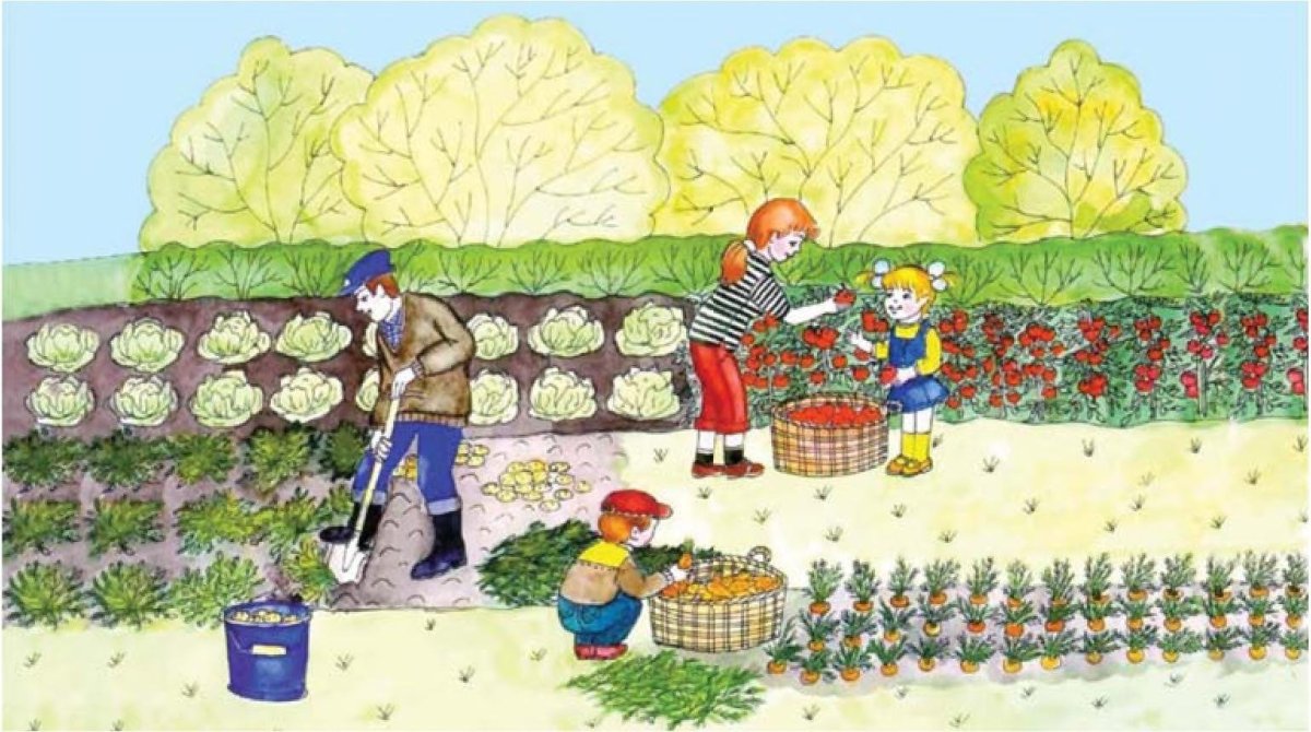 Рисунок на день урожая