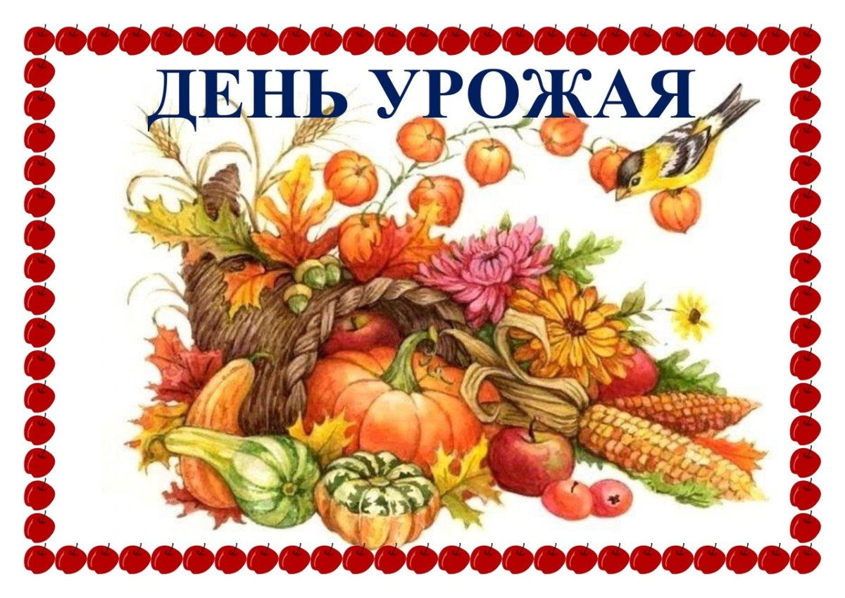 Игра Собери урожай