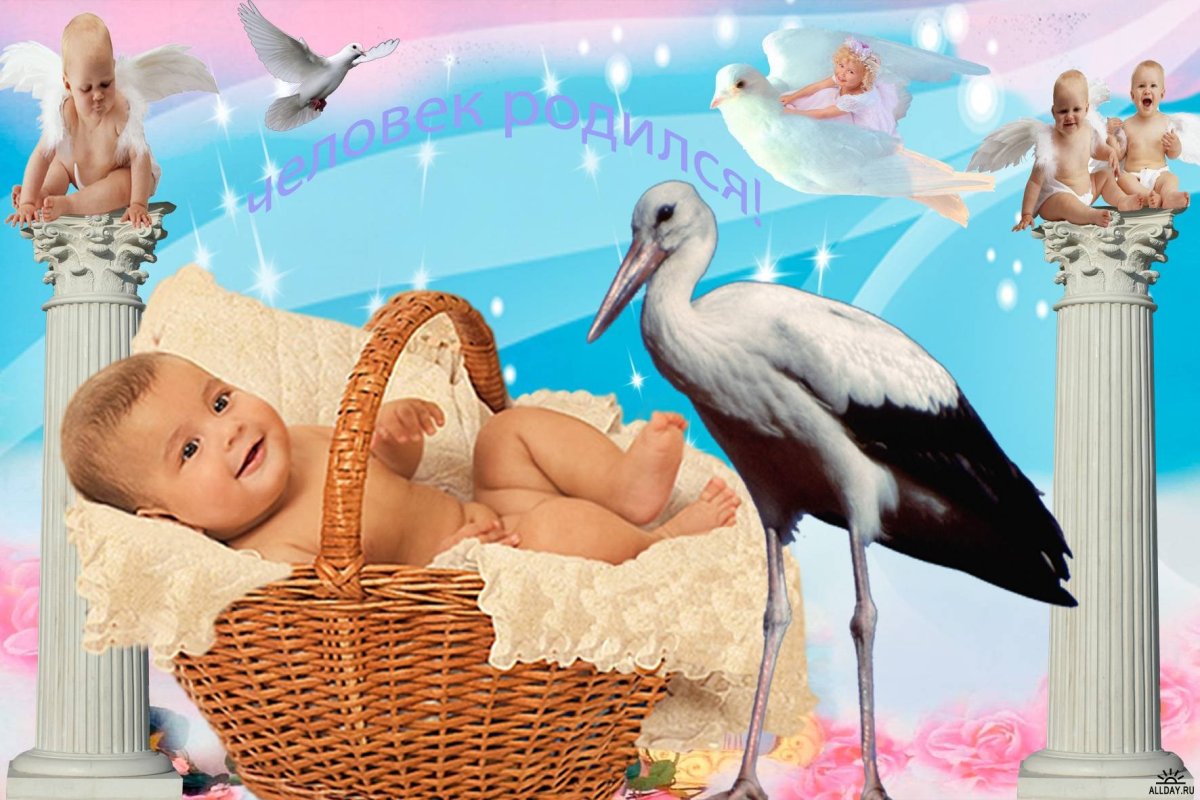 У нас родился внук