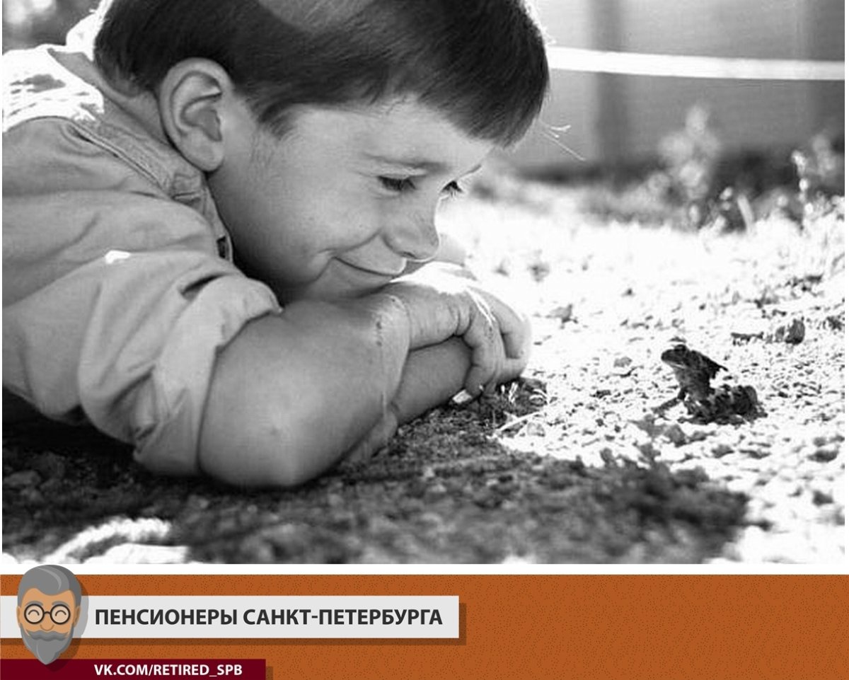 Добрые высказывания о жизни