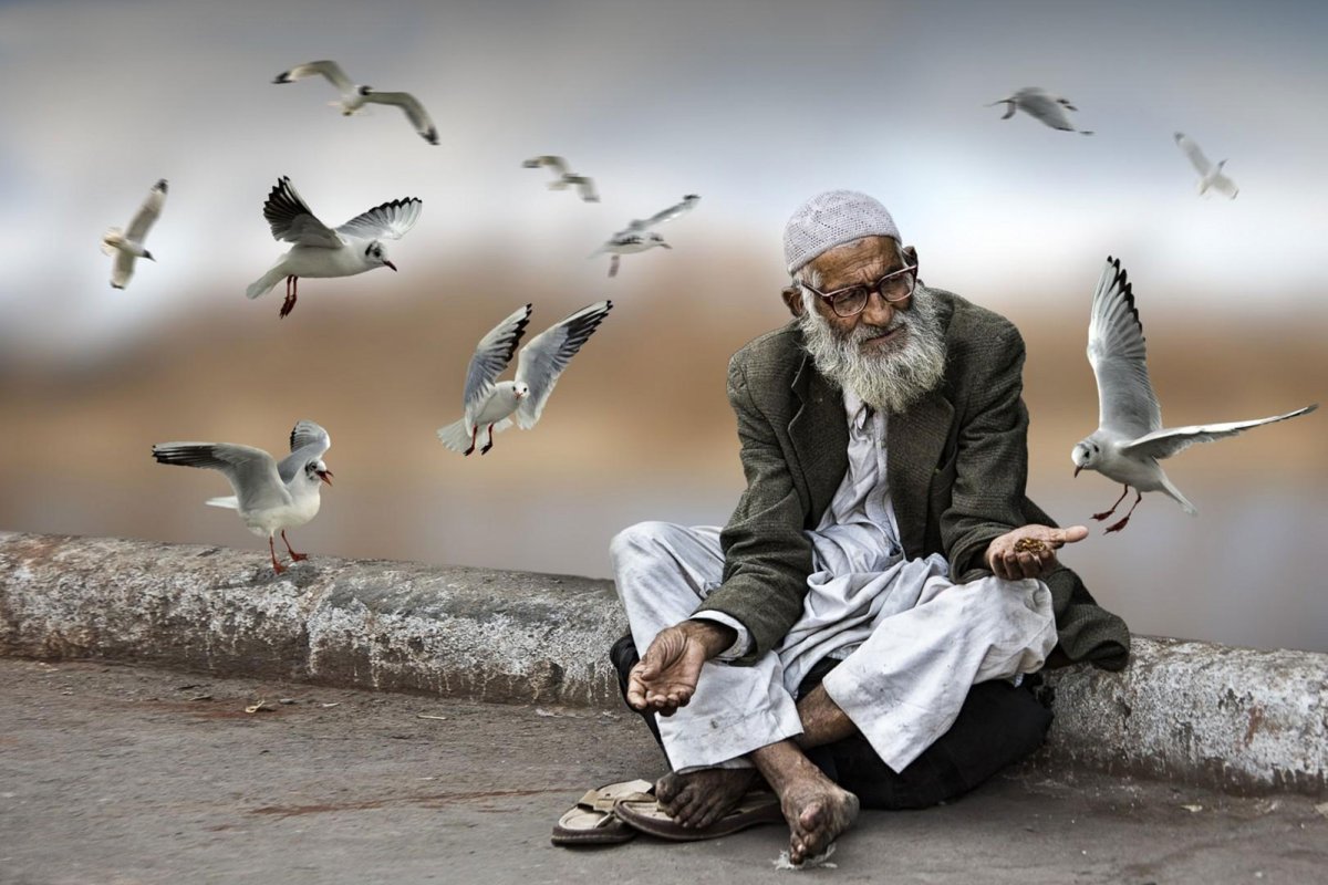 Добрые высказывания