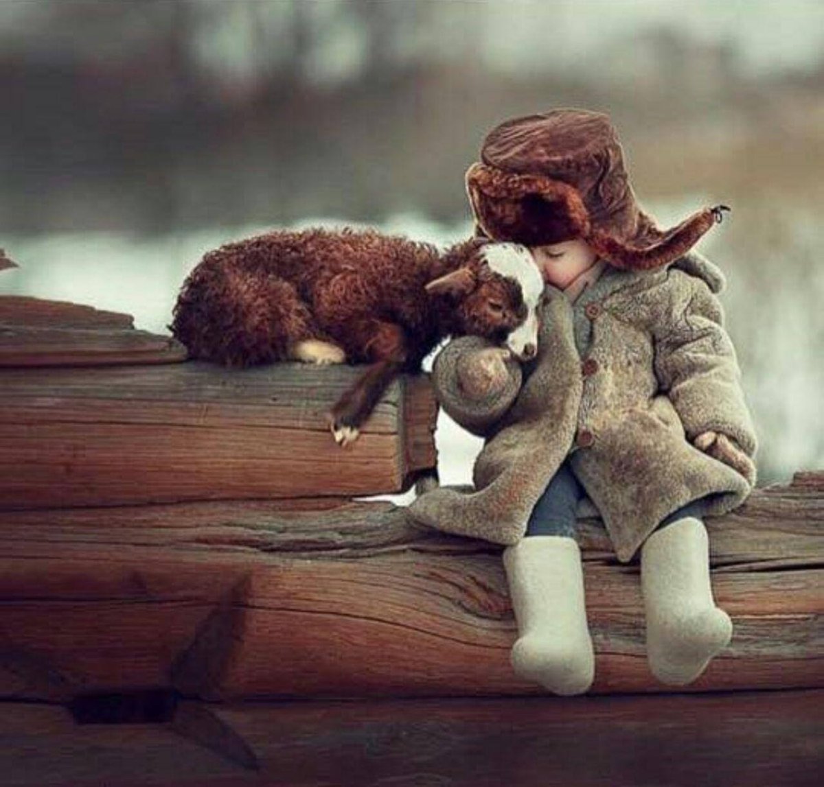 Выставка фотографий Елены Карнеевой