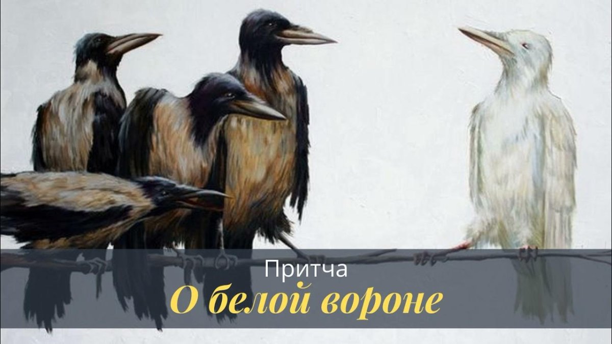 Где все горбаты стройность становится уродством