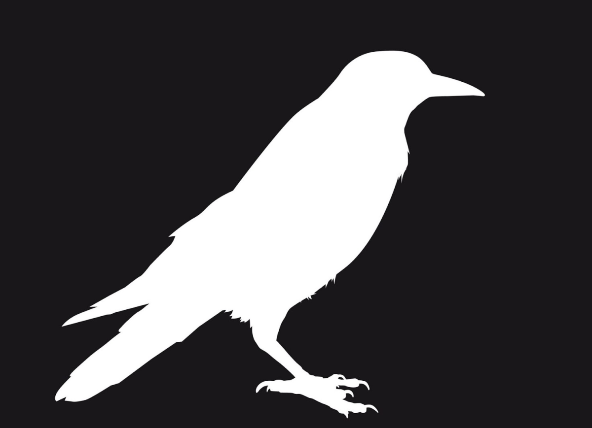 Белый ворон на черном фоне