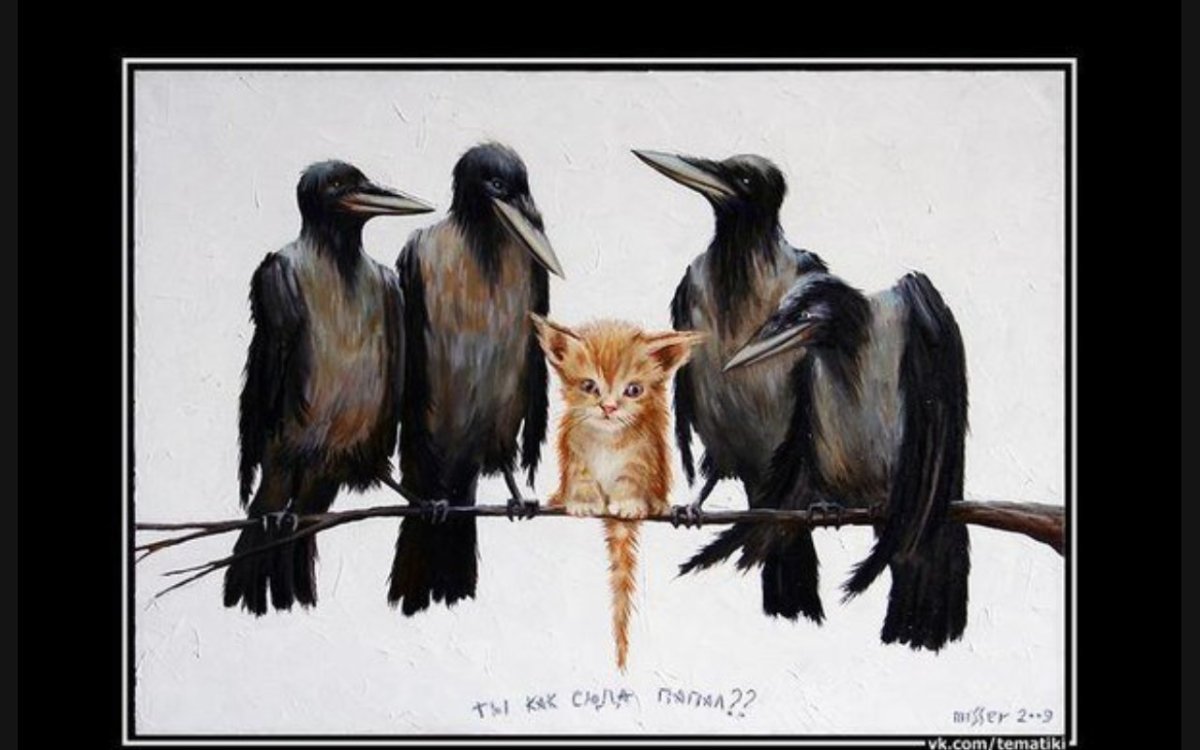 Белая ворона Мем